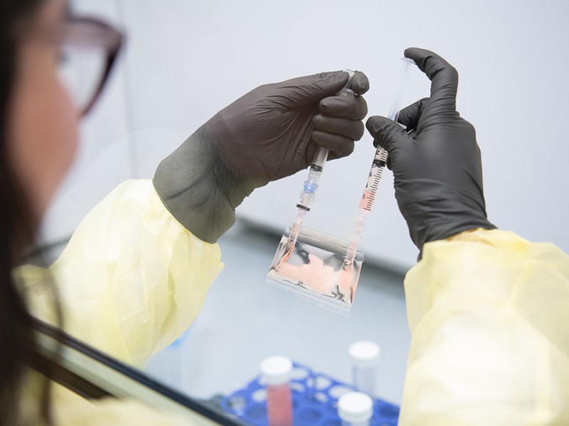 Researchers from UC San Diego are sending tumor organoids to space to better understand how cancer spreads. -- UC San Diego
