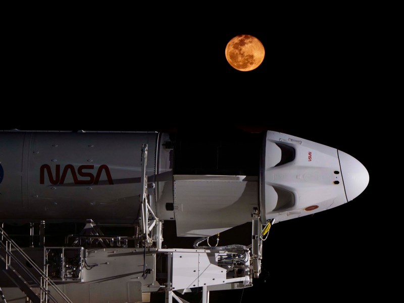 Crew-8 Crew Dragon rollout